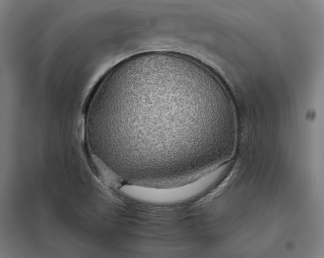X0000097901509200803281327