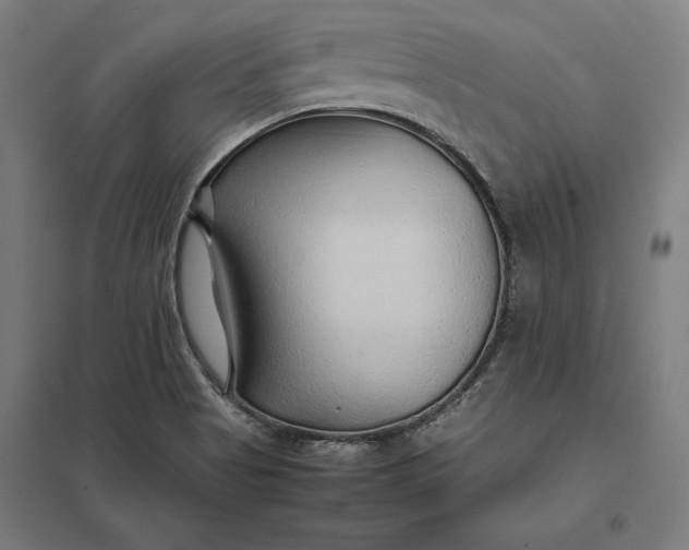X0000097901513200803281327