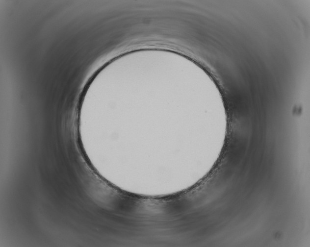 X0000097901514200803281327