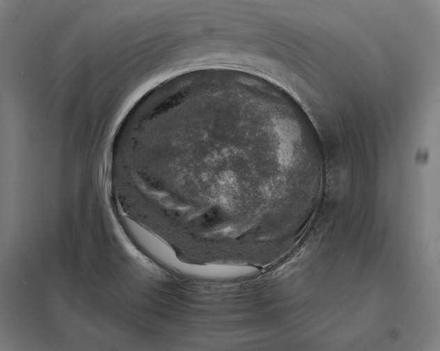 X0000097901515200803281327