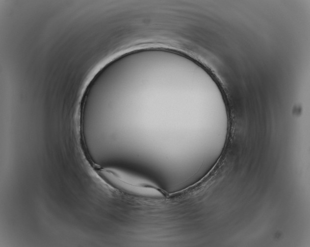 X0000097901516200803281327