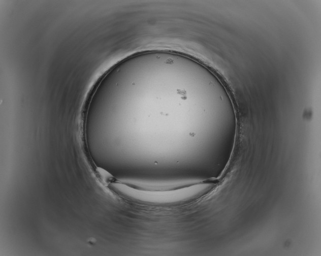 X0000097901517200803281327