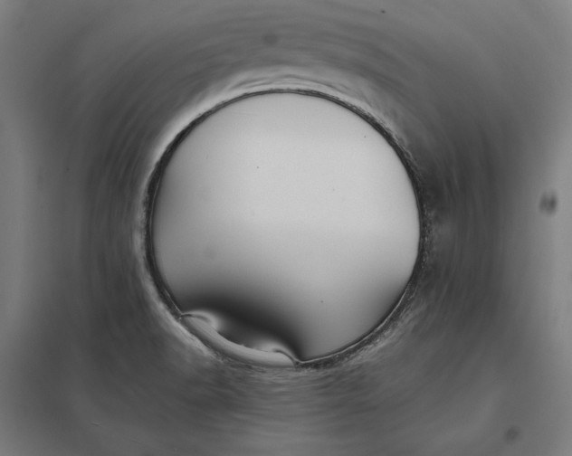 X0000097901518200803281327