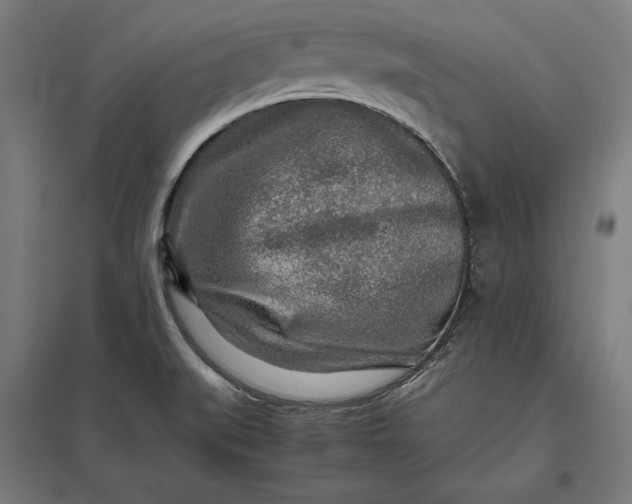 X0000097901519200803281328
