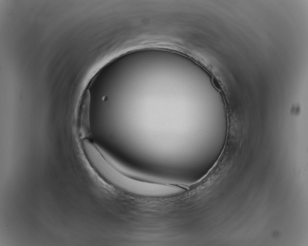 X0000097901520200803281328