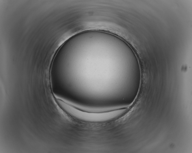 X0000097901521200803281328