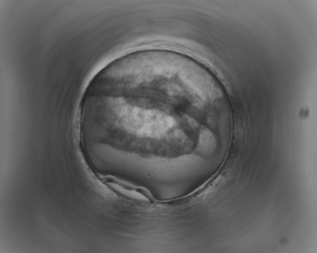 X0000097901522200803281328