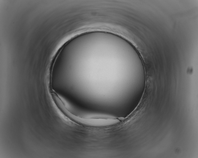 X0000097901523200803281328