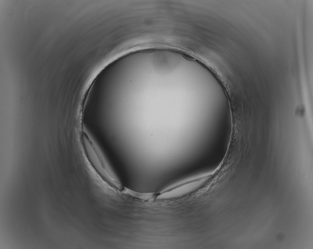 X0000097901524200803281328