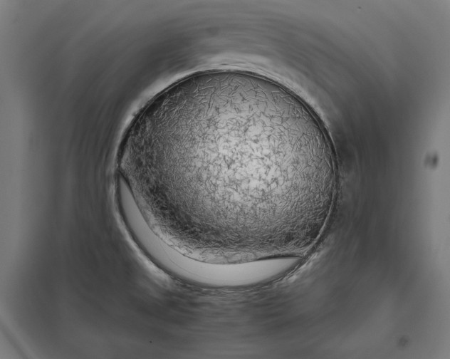 X0000097901525200803281328