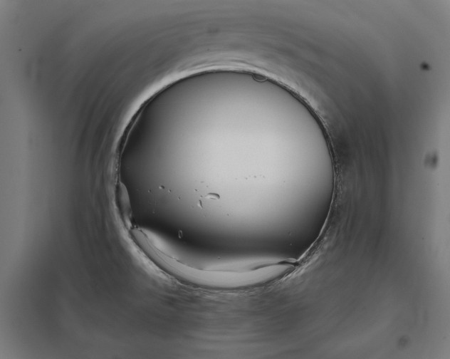 X0000097901526200803281328