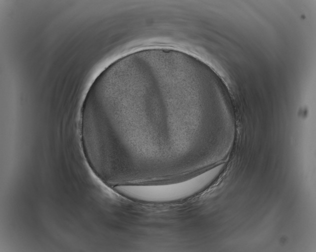 X0000097901527200803281328
