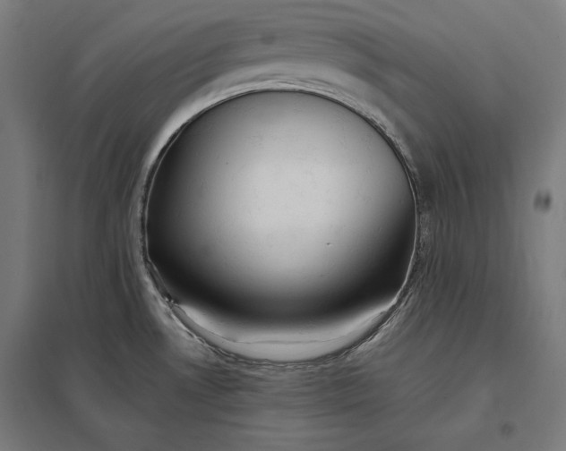 X0000097901530200803281328