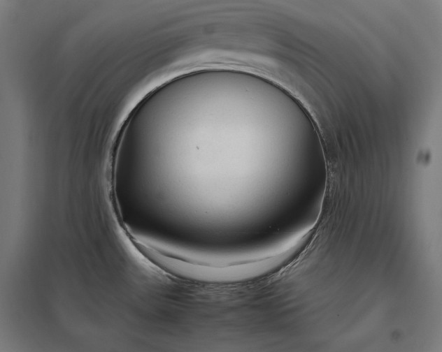 X0000097901531200803281328