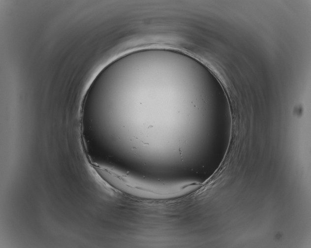 X0000097901532200803281328
