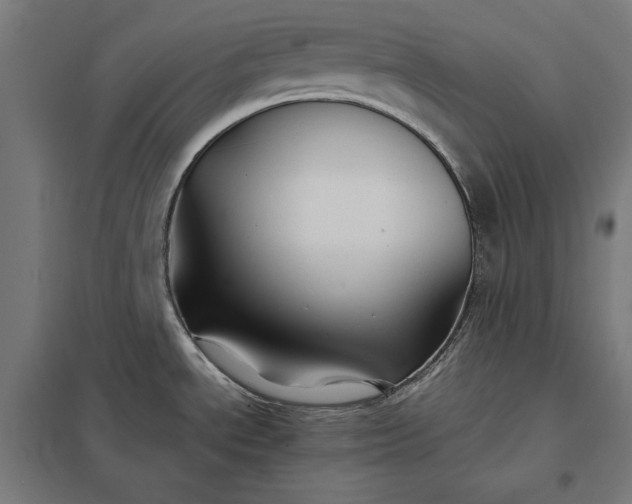 X0000097901534200803281328