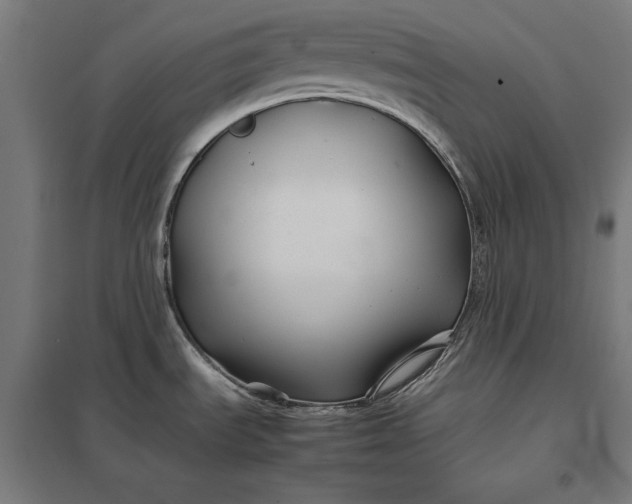 X0000097901535200803281328