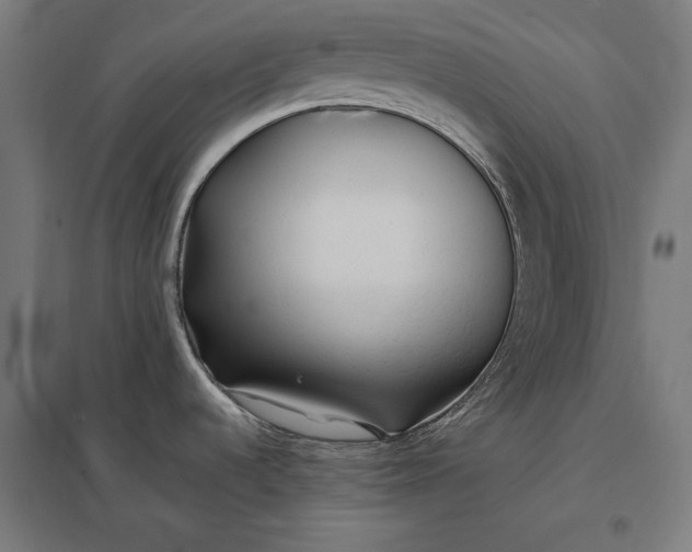 X0000097901536200803281328