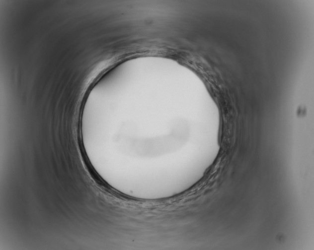 X0000097900003200804041448