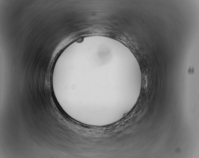 X0000097900004200804041448