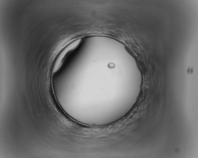 X0000097900005200804041448