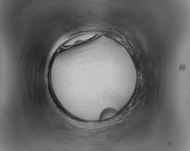 X0000097900006200804041448