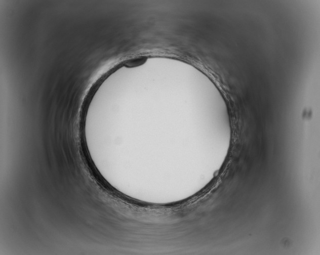 X0000097900008200804041448