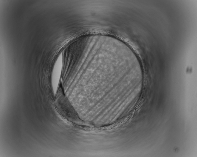 X0000097900009200804041448