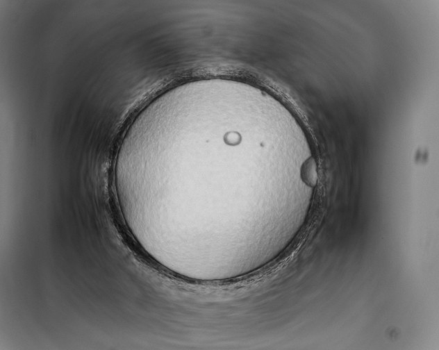 X0000097900010200804041448