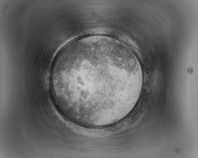 X0000097900012200804041448