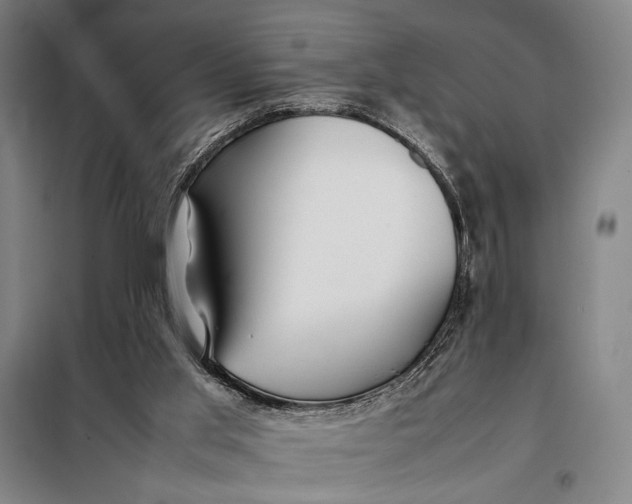 X0000097900013200804041448