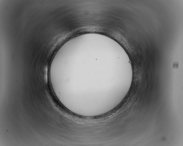 X0000097900014200804041448