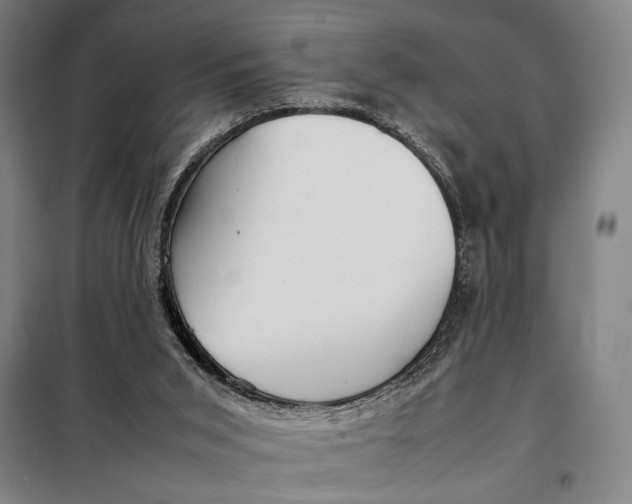 X0000097900015200804041448