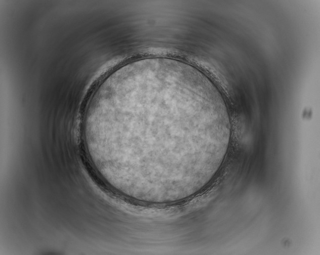 X0000097900016200804041448