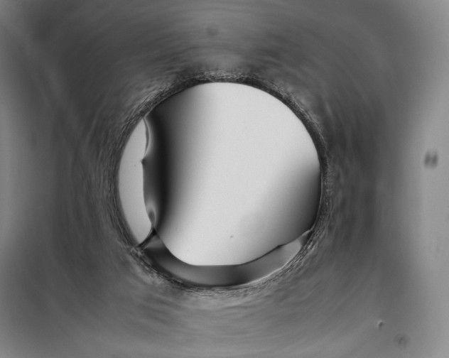 X0000097900017200804041448