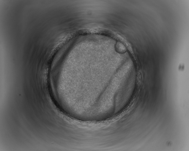 X0000097900018200804041448