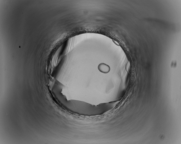 X0000097900019200804041448