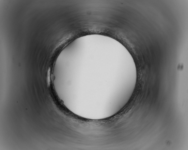 X0000097900020200804041448