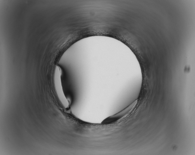 X0000097900021200804041448