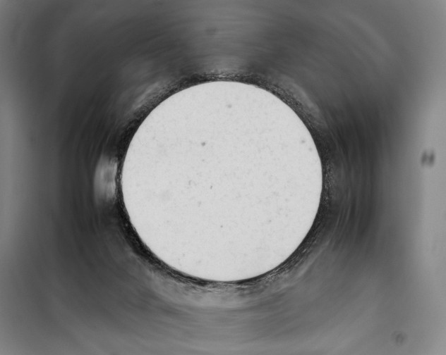 X0000097900024200804041448