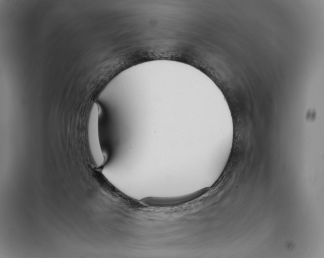 X0000097900025200804041448