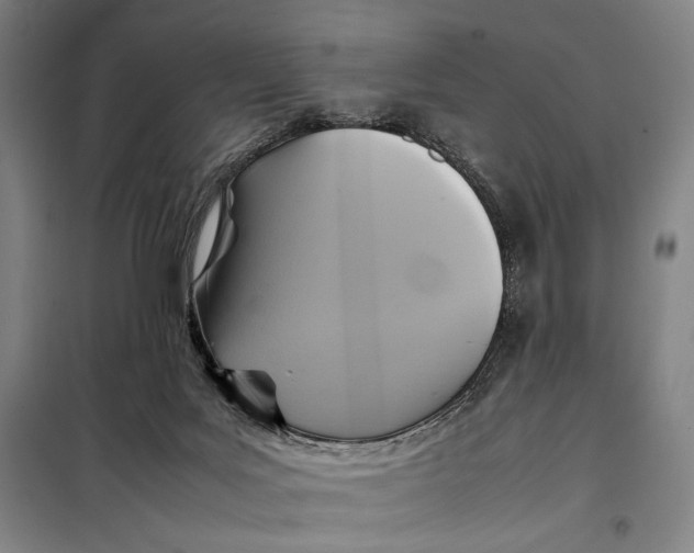 X0000097900027200804041448