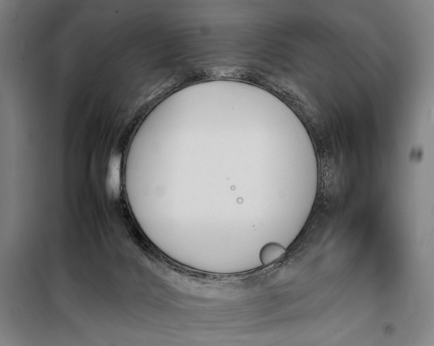 X0000097900028200804041448