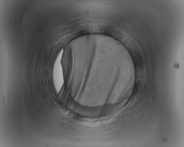 X0000097900029200804041448