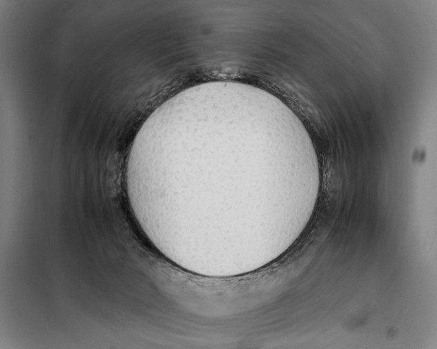 X0000097900030200804041448