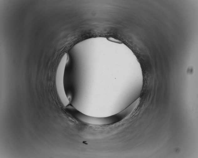 X0000097900033200804041448