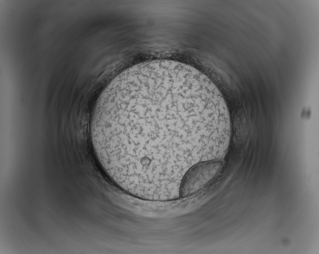 X0000097900034200804041448