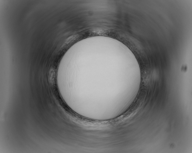 X0000097900036200804041448