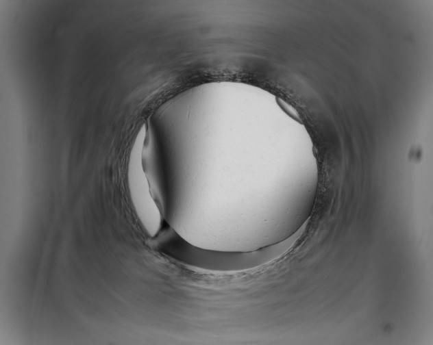 X0000097900037200804041448