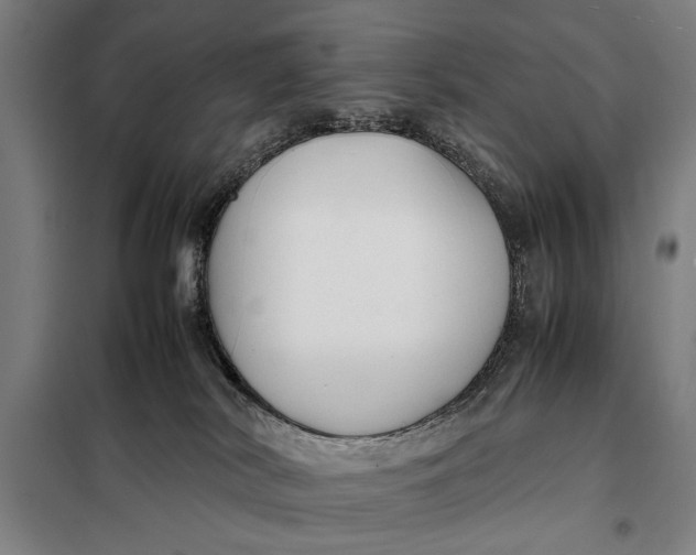 X0000097900038200804041448